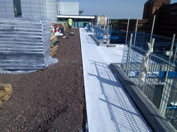 Installing a green roof in London