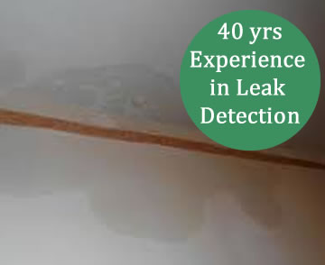 emergency roof leak detection